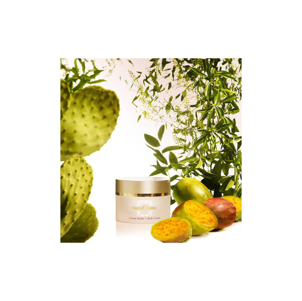CACTÉA CREME RICHE - CREMA VISO ANTIRUGHE