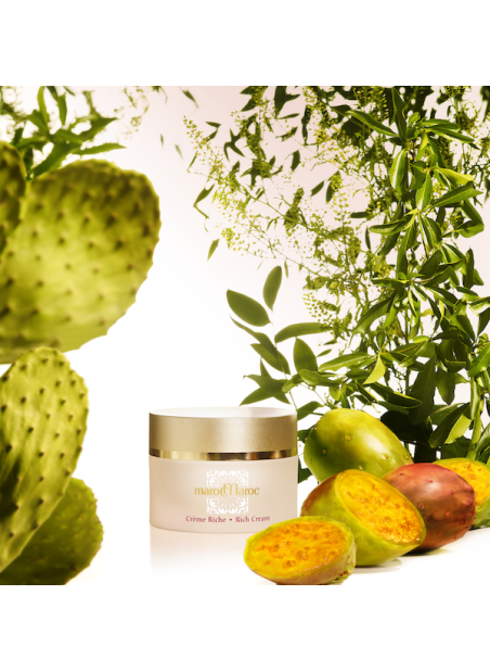 CACTÉA CREME RICHE - ANTI-WRINKLE CREAM