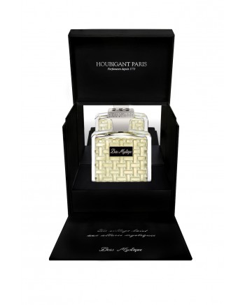 CAMPIONCINO BOIS MYSTIQUE