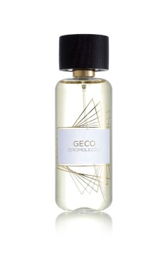CAMPIONCINO GECO