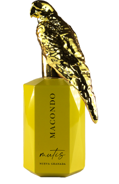 copy of MACONDO