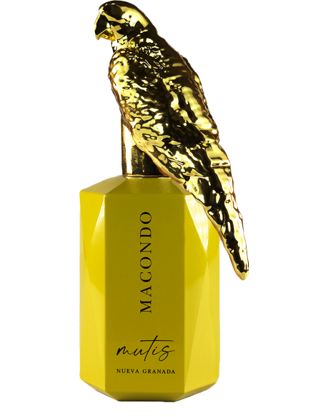 copy of MACONDO