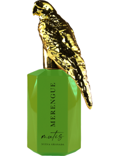 CAMPIONCINO MERENGUE