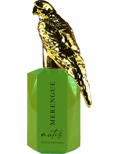CAMPIONCINO MERENGUE