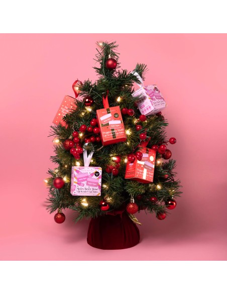 MERRY BERRY ROSE' MINI LIP CARE DUO