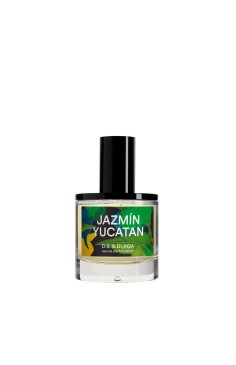 CAMPIONCINO JAZMIN YUCATAN