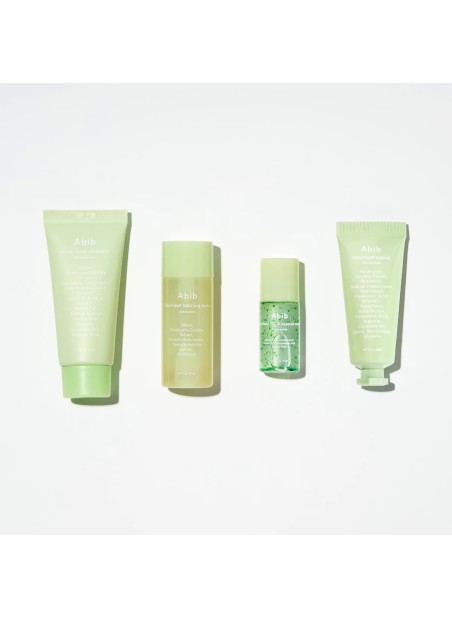HEARTLEAF CALMING TRIAL KIT