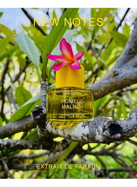 POMELO MALINDI