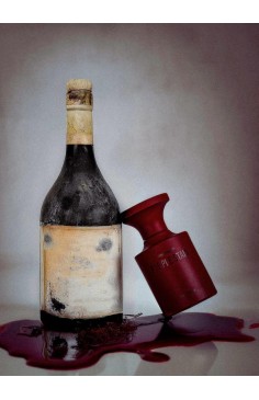 CAMPIONCINO PURPLE STAIN