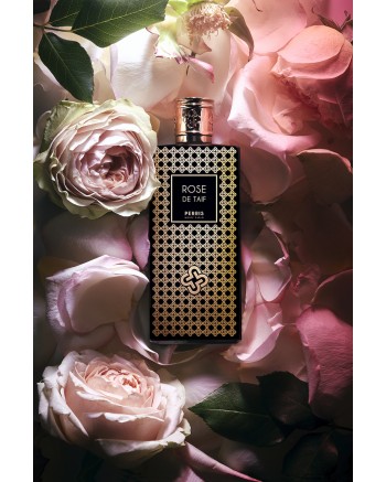ROSE DE TAIF