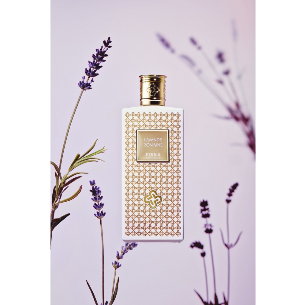 LAVANDE ROMAINE