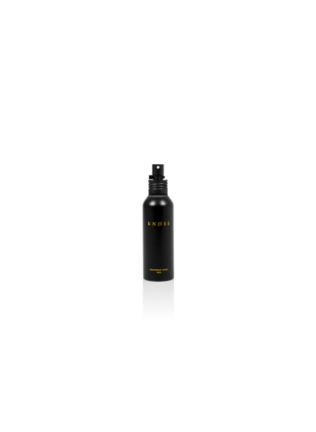 DEODORANT SPRAY FOR PERSON