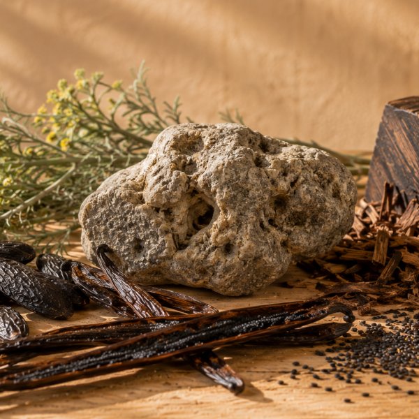 Base notes: Ambergris, Vanilla Absolute, Davana, Guaiac Wood, Tobacco, Estratto Di Sesamo Nero, Assoluta Di Tonka