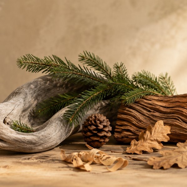 Note di fondo: Accordo Di Quercia, Abete, Accordo Driftwood