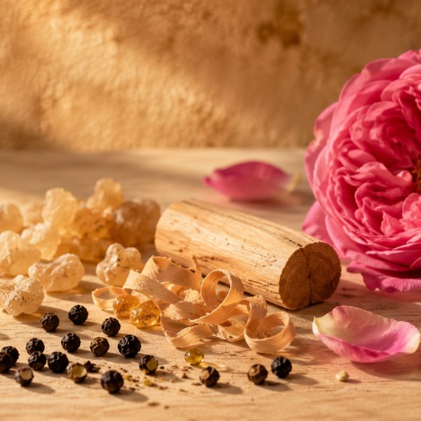 Note di cuore: Incenso, Legno Di Sandalo, Pepe, Rosa Bulgara
