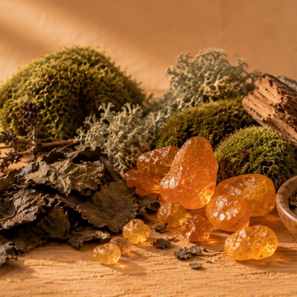Note di fondo: Ambra, Muschi, Patchouli Indonesiano