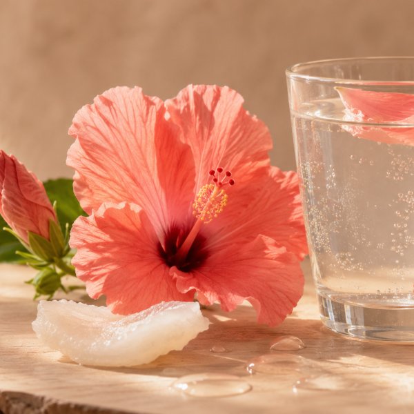 Heart notes: Coconut Water, Ibisco
