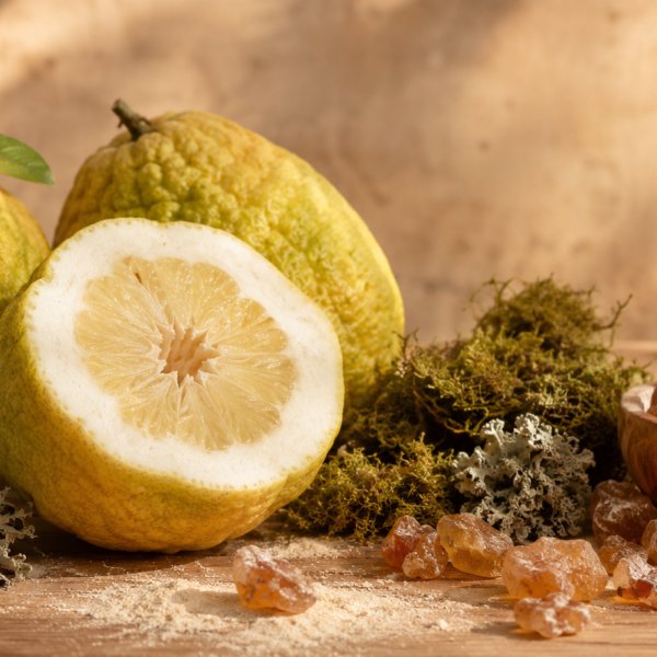 Note di fondo: Cedro, Muschi Polverosi, Resina Benzoino