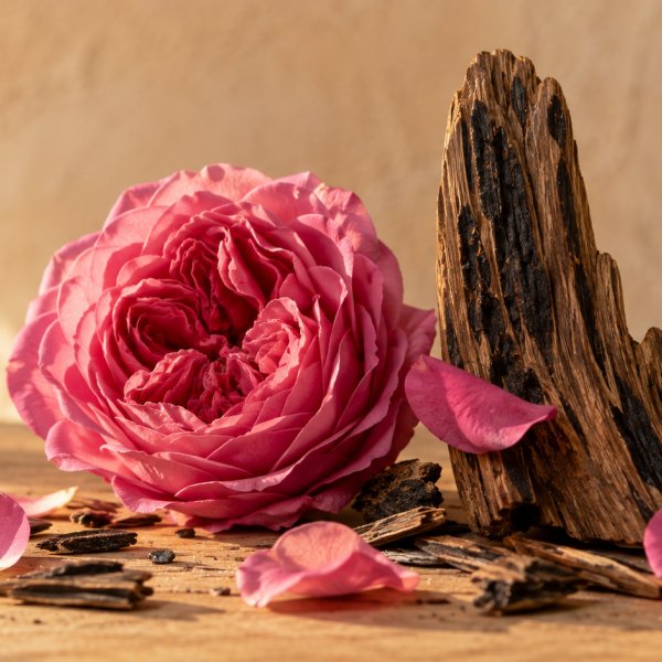 Note di fondo: Assoluta Di Rosa Damascena, Oud