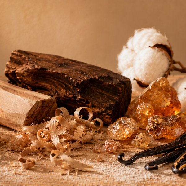 Base notes: Ambroxan, Precious Woods, Precious White Musk, Vanilla, Voluptuous Amber Notes
