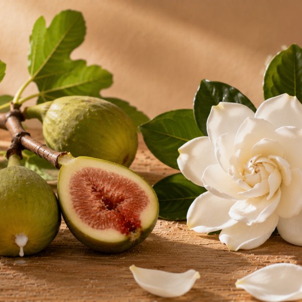 Note di cuore: Fico, Gardenia
